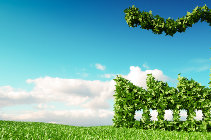 Green transition