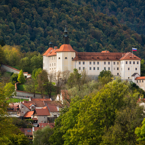 Loški muzej.jpg