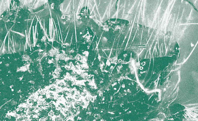 Biodesign Challenge.png