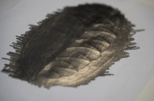 ALUO DSC_9686_Kaverljag 2024_Nik Erik Neubauer.jpg