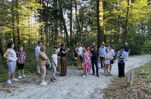 ALUO arboretum1-anja marinšek.jpeg