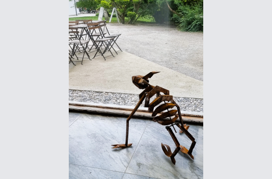 ALUO arboretum2-metod frlic.png