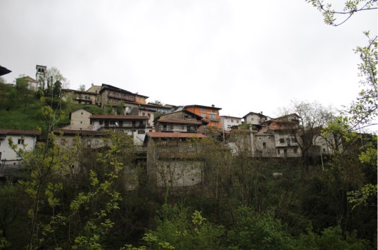 topolovo21.jpg