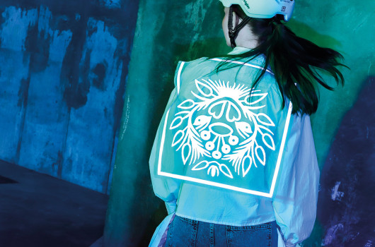 zupanov-TRIGLAV X NTF X LJFW-YOOTREE-85 BARVNO OBDELANO RGB.jpg