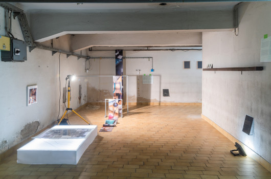 ALUO ponjava s5 Miha Rauch 1.jpg