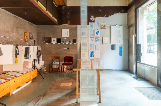 ALUO ponjava s5 Miha Rauch 3.jpg