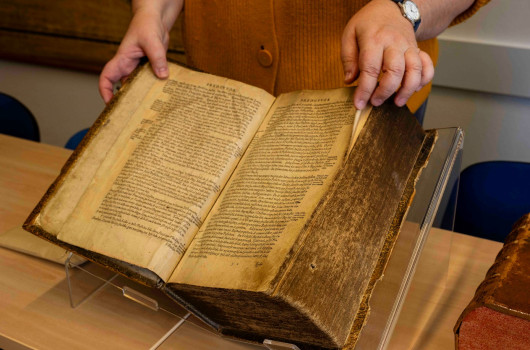 FF galerija maj-3.jpg