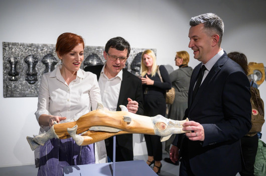 ALUO onkraj vidnega 4.jpg