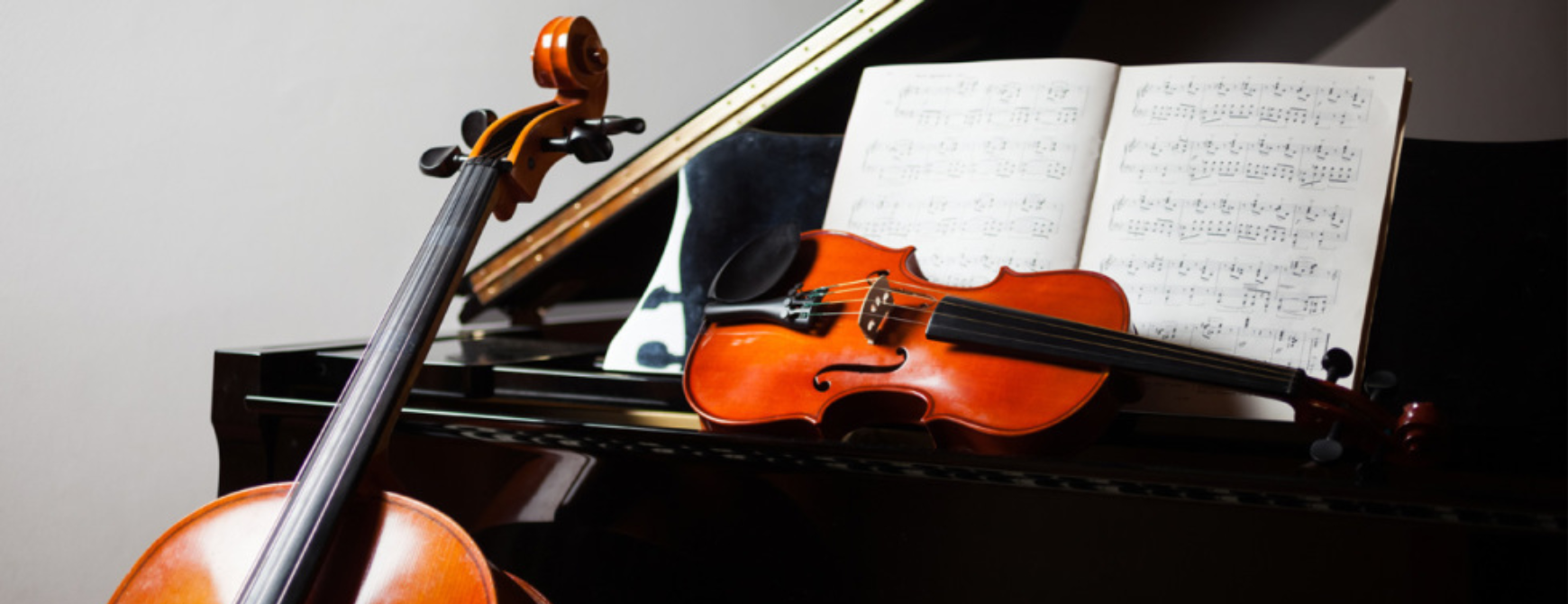 Solo e da camera, Ana Rupar in Trio Dva, Ena.png